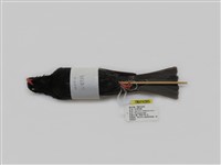 藏品(紅嘴黑鵯)的圖片